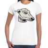 Women's 'Gildan' Slim T-Shirt Thumbnail